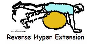 Reverse hyper extension